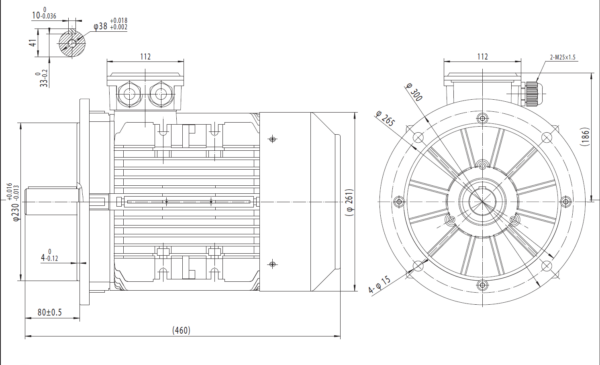 Dimensiuni motor 132B5 2