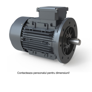 Motor cu flansa 1